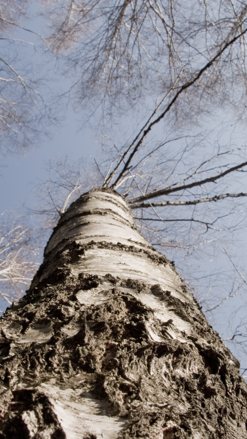 Slika za blog 1_1