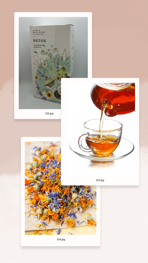 slika za blog 2_2